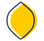 logo le petit citron web